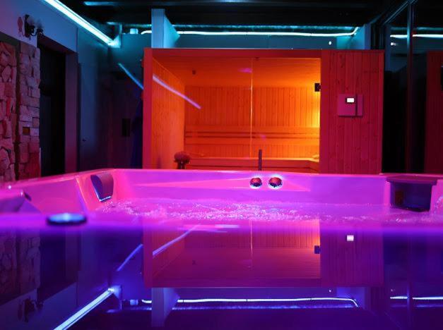 Hanu Lui Gica Spa Satu Mare Eksteriør billede