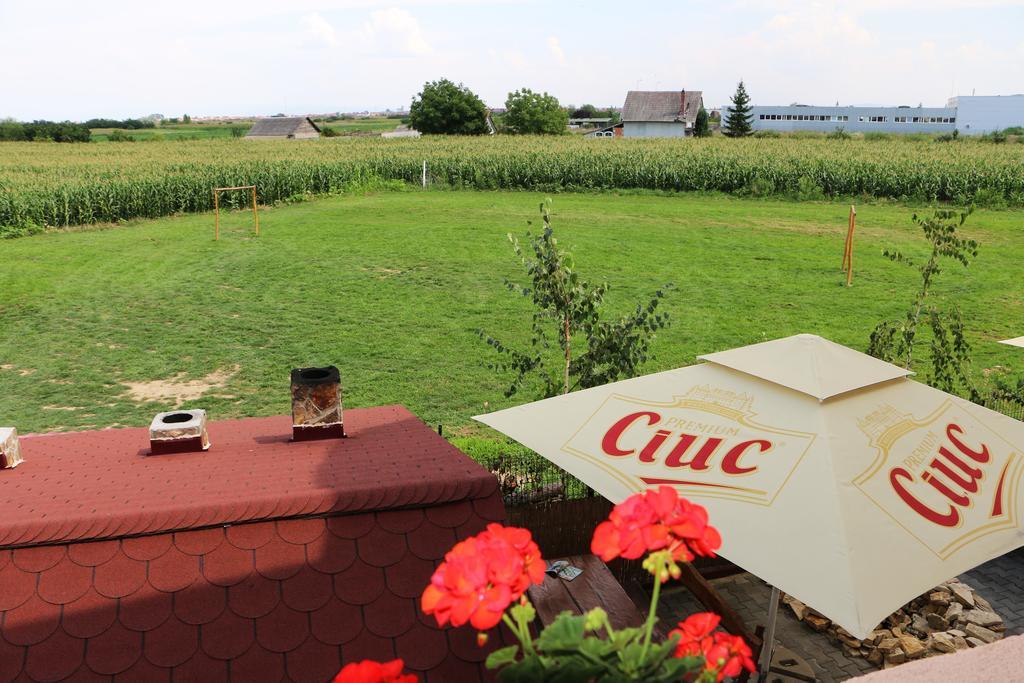 Hanu Lui Gica Spa Satu Mare Eksteriør billede
