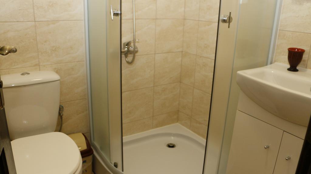 Hanu Lui Gica Spa Satu Mare Værelse billede
